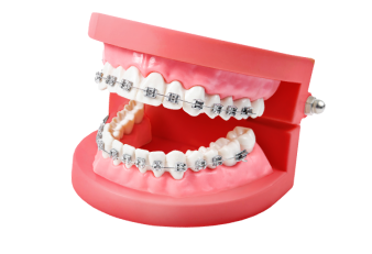 Image représentant le domaine orthodontie